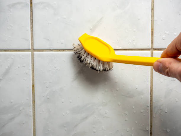 Best Mold Remediation  in Hamburg, NJ