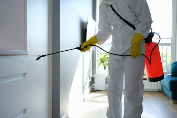 Best Attic Mold Removal  in Hamburg, NJ