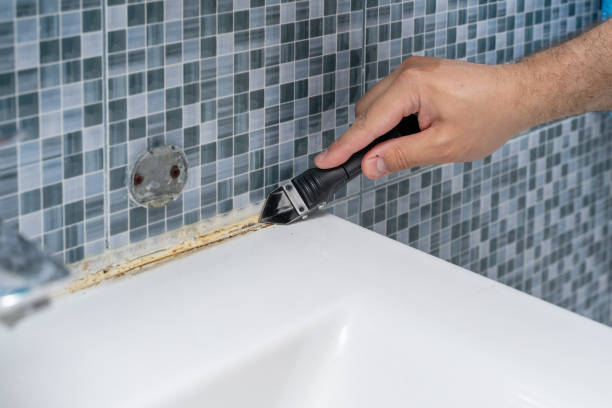Best Mold Removal Near Me  in Hamburg, NJ