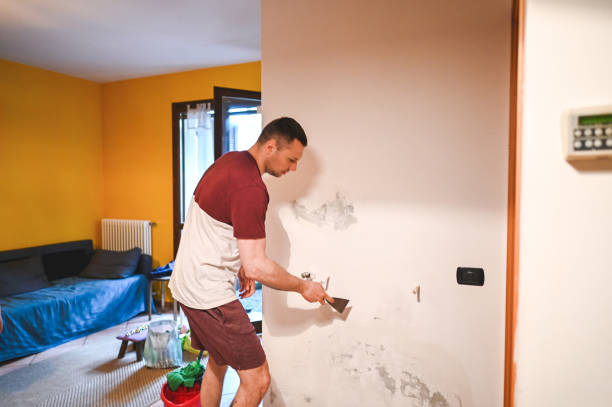 Best Attic Mold Removal  in Hamburg, NJ